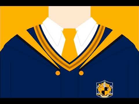 1910s Gryffindor Robe (Infinite Painter).