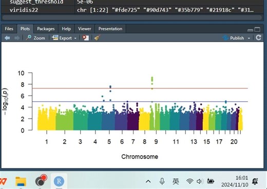 一个视频讲明白GWAS的大多问题 代码实操