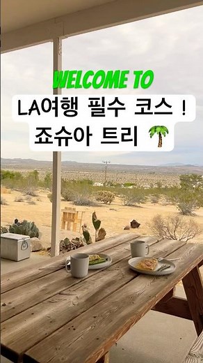 조슈아 트리 국립공원🌴미국 국립공원 구경하기 👀인생 선셋 🌅 Joshua tree
