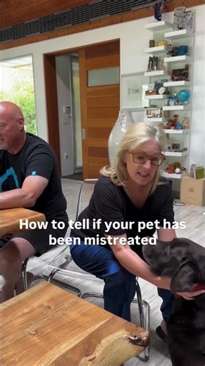 Dog Trauma Test… Husband’s Reaction Steals The Video