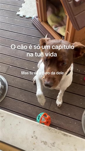 joao_2715 (@joao_2715)’s videos with som original - glhrmme7