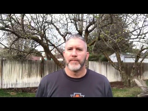 The Best Cow Elk Call You’ve Probably Never Heard Of!