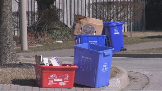 Recycle bin collection