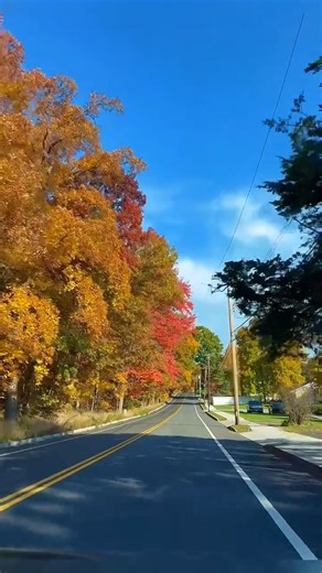 🍁 10 days. Endless colors. Pure New England magic. From Boston’s historic Freedom Trail to Vermont’s maple farms, from lighthouses to golden coastlines—this tour is your front-row ticket to fall’s greatest show. 📍 Acadia National Park, Cape Cod, White Mountains & more 🛏️ 9 nights’ stay deluxe transport pro escort = stress-free travel 👉 Book now with link in bio and let the colors lead the way https://bit.ly/3HIlRLf #NewEnglandFall #EastCoastAdventures #toursfromboston #tourpackages #localtou