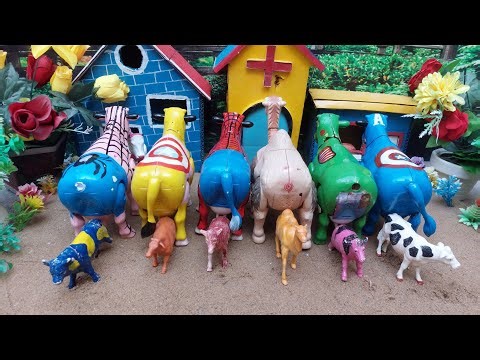 WADIDAU🤩💞‼️PROSES‼️POTONG SAPI🐄🦌🐫🐘‼️KURBAN‼️Sapi videos