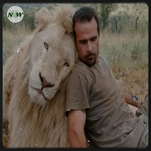 A courageous connection: the unexpected friendship between humans and big cats—[Full story in 𝗰𝗼𝗺𝗺𝗲𝗻𝘁]👇 | Adorable Things