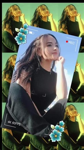 Cuentas recomendadas