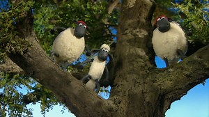 Shaun das Schaf: 29. Rettet den Baum