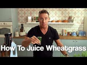 Juicy Tips - Juicing Wheatgrass in Your Cold Press Juicer