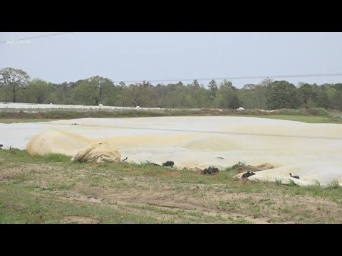 Temperatures dropping and farmers are getting crops ready