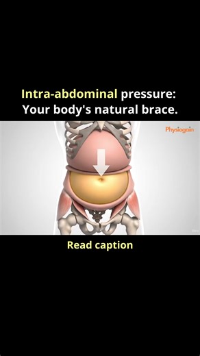 Intra-abdominal pressure: Your body's natural brace.