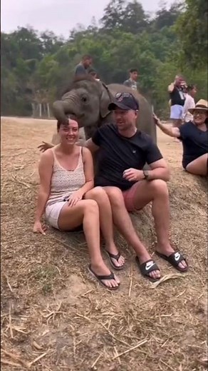 Adorable Baby Elephant Moments 🐘 | Cutest Wildlife Scene Ever!