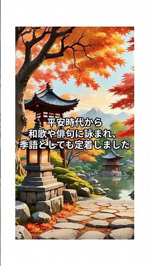 秋の夜長って、なんでそう呼ばれるの？#秋の夜長 #雑学 #日本文化 #季節の豆知識