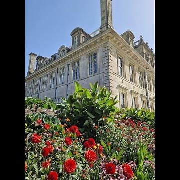 📍Kingston Lacy National Trust, Wimborne, Dorset