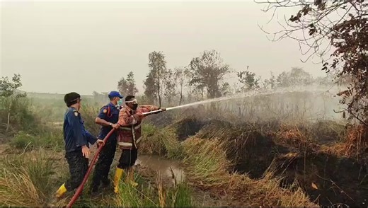 Kebakaran lahan di belakang pergudangan Prima Star jln. Tanjung Api-api, kelurahan gasing, kecamatan talang kelapa. #stopmembakarhutandanlahan #stopmembakarhutan #pantangpulangsebelumpadam #pemadamkebaranindonesia #kebakaranhutan #kebakaranlahan