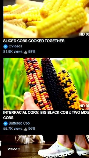 Weirdest Websites That Shouldn't Exist! 😂