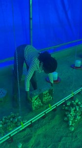 22K views · 335 reactions | In this video, I walk you through...