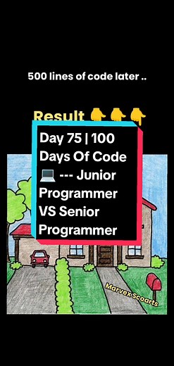 Day 75 | 100 Days Of Code Challenge 💻💻💻 --- Normal Junior Programmer VS Senior Programmer 😂😂🤣 #techtok #softwareengineer #coding #marvexscoarts #relatable