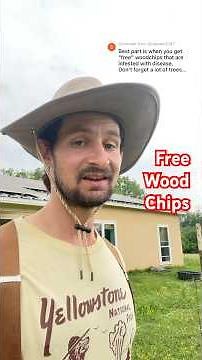 How to use Wood Chips in Your Garden