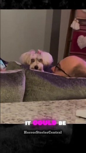 Mythical Creatures Skinwalker 😱 #horrorstories #scary #creepy