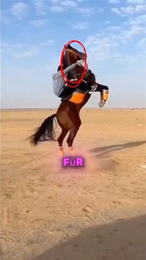 The fastest horses in the world 😳⚡🐎