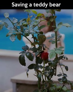 43K views · 1.5K reactions | Saving a teddy bear | #Redemption #Esaret Episode 382 | Esaret / Redemption TV Series | Facebook