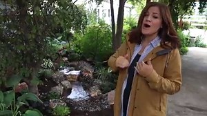 1.1M views · 6.5K reactions | Installing an Amazing Water Feature in the Garden  | Garden Answer | Facebook