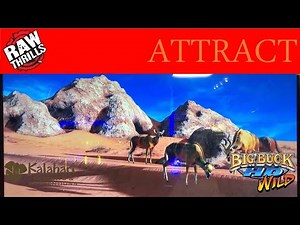 Big Buck HD Wild - Attract Mode