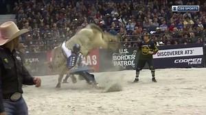 381K views · 11K reactions | Bulls so good they’ll send a chill down your spine. Check out the rankest bulls from January. | PBR | Facebook