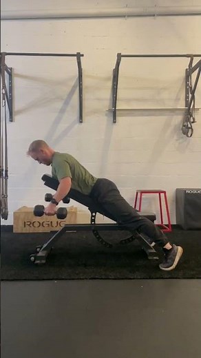 Chest Supported DB Reverse Fly