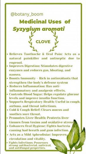 Clove Benefits| Syzygium aromaticum| 10 Powerful Medicinal Uses & Health Benefits| Laung #clove #fyp