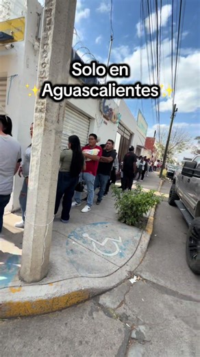 Aguascalientes: Celebrando 100 mil vistas en Aguachiles