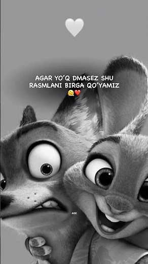 Rasmlar telegram kanalda ❤️