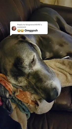 Replying to @blugrasschik90