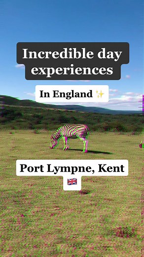 Unforgettable Port Lympne Safari Experience in Kent, England