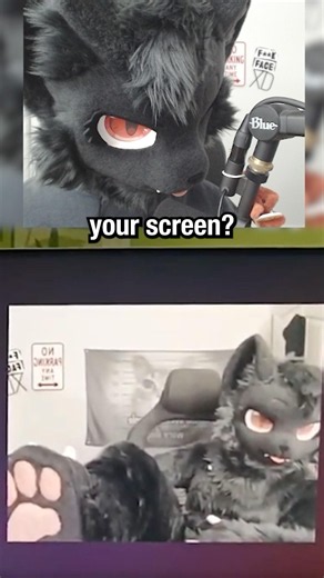 my paws are his wallpaper 😭🥀.. #furry #setuptour
