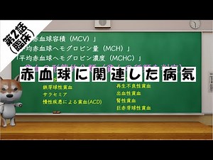 【第２話(臨床)】赤血球に関連した病気