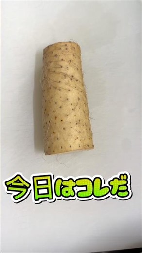今日はコレだ！長芋煮‼︎薄口醤油で煮物をキメるっ‼︎出汁が美味いぞ‼︎ #ベイビーやしのき大冒険 #煮物