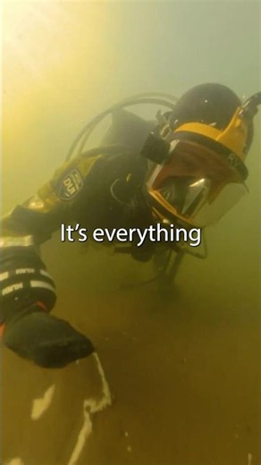 Into the murk