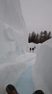 Oh golly! Fun at #Winterlude | The Grant Alexander