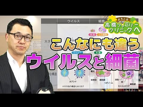 ウイルスと細菌 動画でわかるそれぞれの違い 予防法・対策を現役内科医が解説！【高橋ファミリークリニック236】