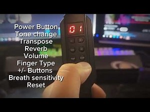 MIDI EWI (Electronic Wind Instrument (Shopee) setup and sample