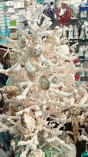 Coral Christmas Tree at Key West 🎅🌲⛵ Winter is Coming! #christmas #christmastree