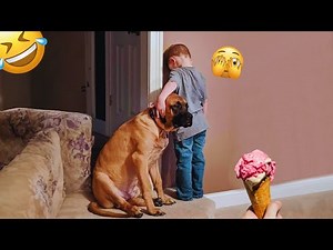 I dare you not to LAUGH at these FUNNY DOGS 😁🦮 - Best Funny Animals Videos 2024 & 2025#89