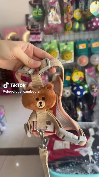 Dogology Cambodia: Your Pet Connection