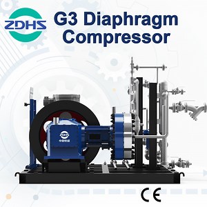 [Hot Item] Chemical Ang Gas Industry Toxic and Flammable Explosive Gases Diaphragm Compressor High Purity Compressing