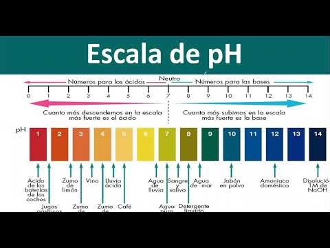 QUÍMICA 6, LOS ÁCIDOS Y LAS BASES, ESCALA DE PH Y REACCIÓN DE NEUTRALIZACIÓN.