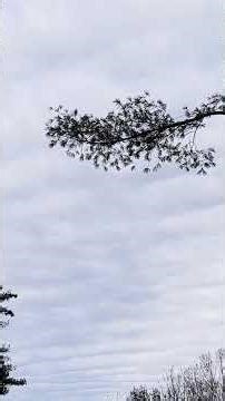 remarkable cloud coverage