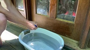 184 reactions · 15 shares | The Amazing FlyLady Purple Rags and the Collapsible Carry All! https://shop.flylady.net/p/_All_Tools | The FlyLady | Facebook