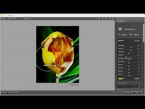 Nik Software original training - Viveza 2 - Part 5